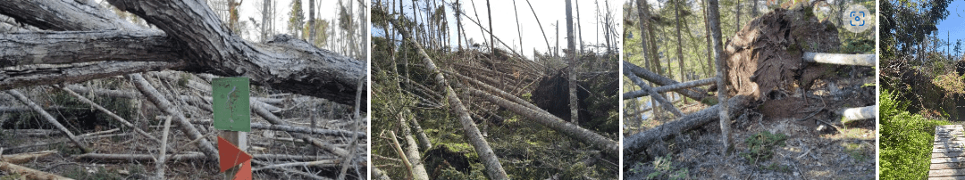 Post-Fiona Trail Clean-up in PEI